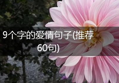 9个字的爱情句子(推荐60句)