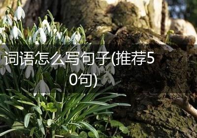 词语怎么写句子(推荐50句)