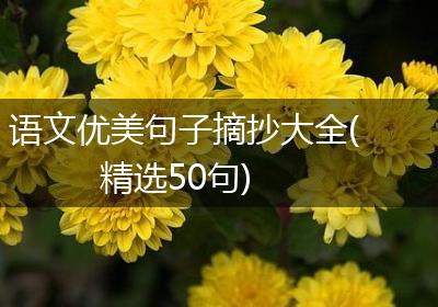 语文优美句子摘抄大全(精选50句)