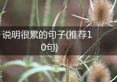 说明很累的句子(推荐10句)