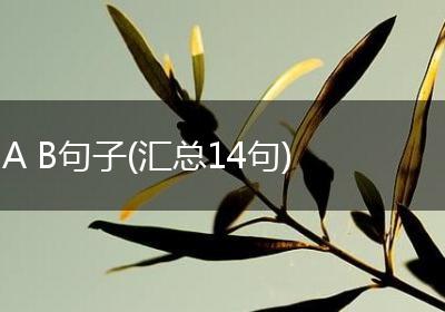 A B句子(汇总14句)