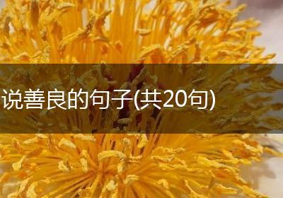 说善良的句子(共20句)