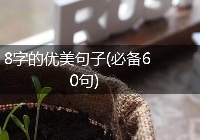 8字的优美句子(必备60句)