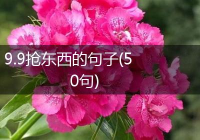 9.9抢东西的句子(50句)