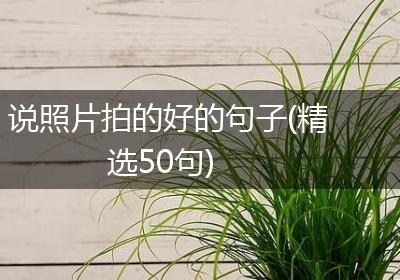 说照片拍的好的句子(精选50句)