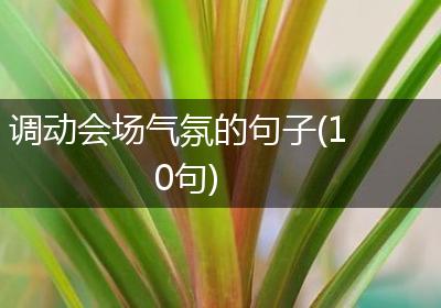 调动会场气氛的句子(10句)