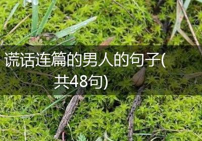 谎话连篇的男人的句子(共48句)