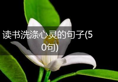 读书洗涤心灵的句子(50句)