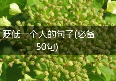 贬低一个人的句子(必备50句)