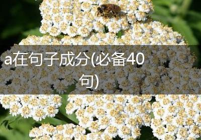 a在句子成分(必备40句)