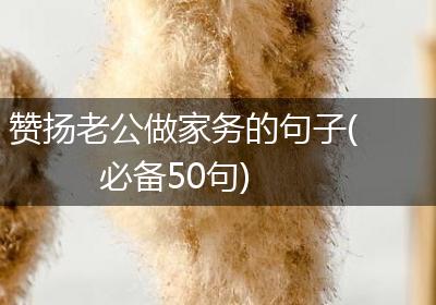 赞扬老公做家务的句子(必备50句)