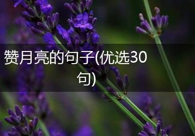 赞月亮的句子(优选30句)