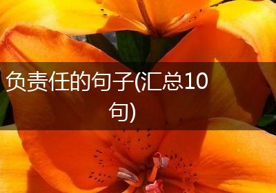 负责任的句子(汇总10句)