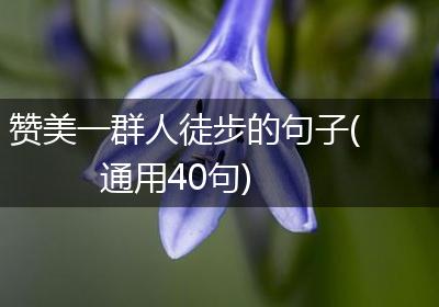 赞美一群人徒步的句子(通用40句)