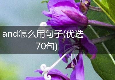 and怎么用句子(优选70句)