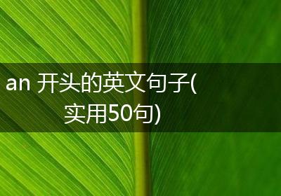 an 开头的英文句子(实用50句)