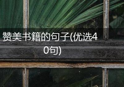 赞美书籍的句子(优选40句)