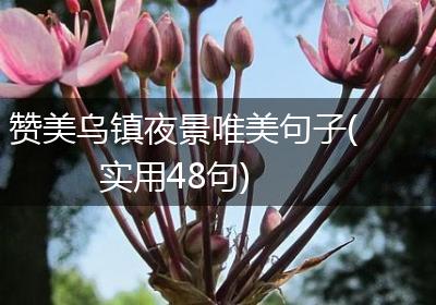 赞美乌镇夜景唯美句子(实用48句)