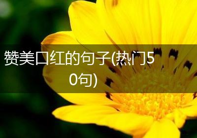 赞美口红的句子(热门50句)