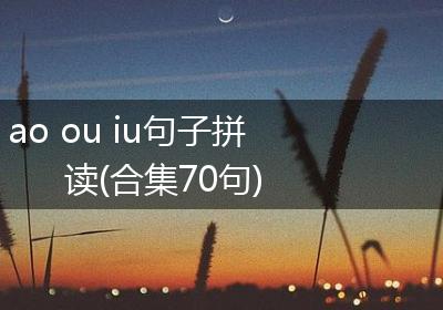 ao ou iu句子拼读(合集70句)