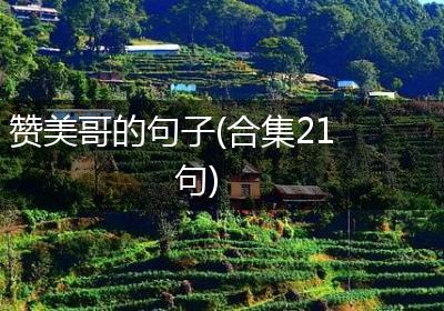 赞美哥的句子(合集21句)
