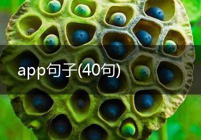 app句子(40句)