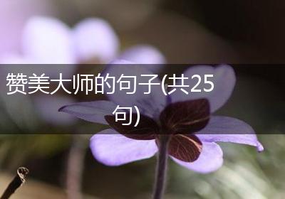赞美大师的句子(共25句)