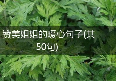 赞美姐姐的暖心句子(共50句)