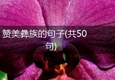赞美彝族的句子(共50句)