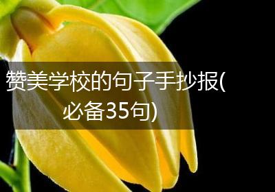 赞美学校的句子手抄报(必备35句)