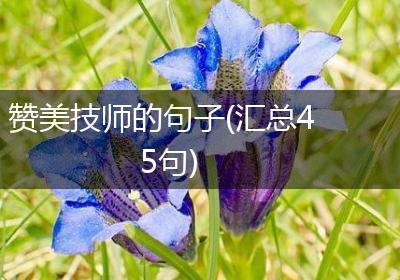 赞美技师的句子(汇总45句)