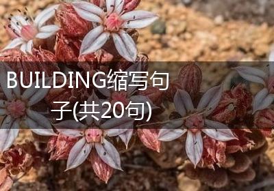 BUILDING缩写句子(共20句)