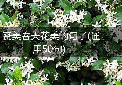 赞美春天花美的句子(通用50句)