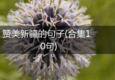 赞美新疆的句子(合集10句)