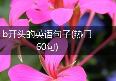 b开头的英语句子(热门60句)