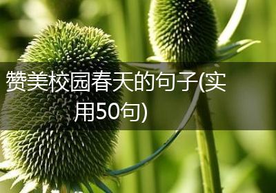 赞美校园春天的句子(实用50句)