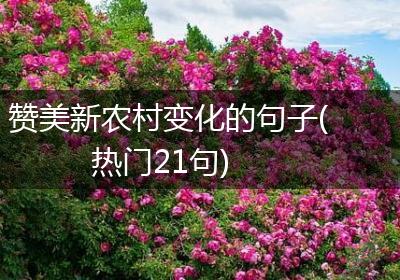 赞美新农村变化的句子(热门21句)