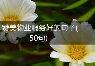 赞美物业服务好的句子(50句)
