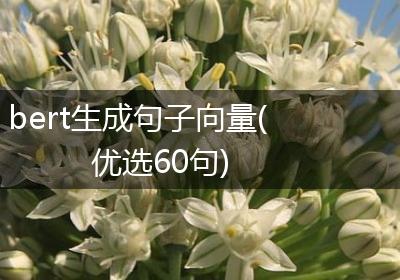 bert生成句子向量(优选60句)