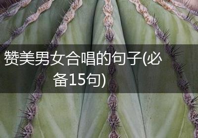 赞美男女合唱的句子(必备15句)