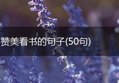 赞美看书的句子(50句)