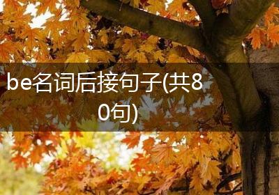 be名词后接句子(共80句)