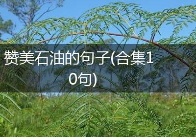 赞美石油的句子(合集10句)