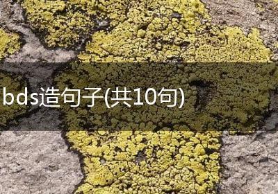 bds造句子(共10句)