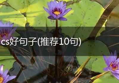 cs好句子(推荐10句)