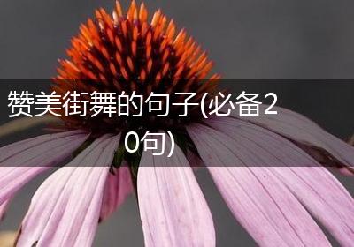 赞美街舞的句子(必备20句)