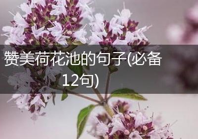 赞美荷花池的句子(必备12句)