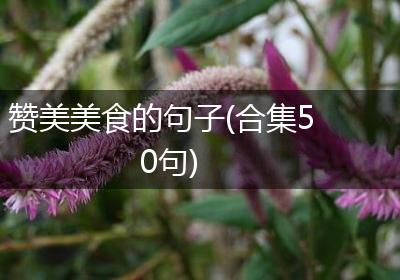 赞美美食的句子(合集50句)