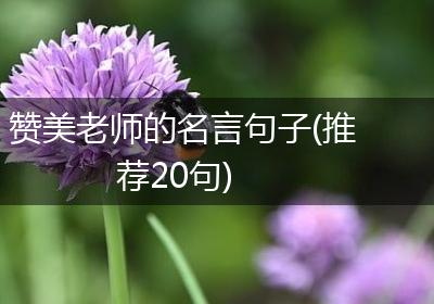 赞美老师的名言句子(推荐20句)