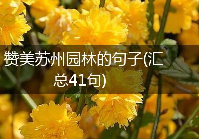 赞美苏州园林的句子(汇总41句)